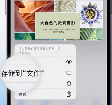 福州apple维修中心分享iPhone文件应用中存储和找到下载文件