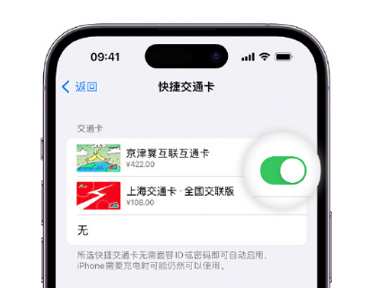 福州apple维修点分享iPhone上更换Apple Pay快捷交通卡手绘卡面 