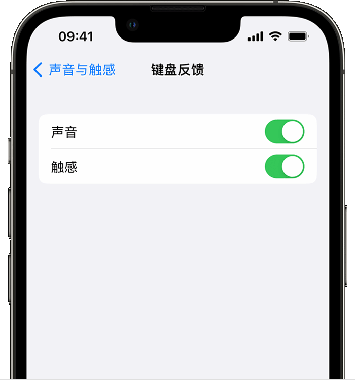 福州苹果14维修店分享如何在 iPhone 14 机型中使用触感键盘 