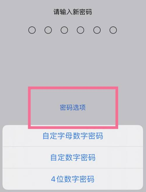 福州苹果14维修分享iPhone 14plus设置密码的方法 