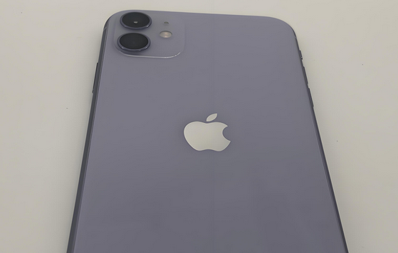 福州苹果11系统维修分享iPhone11手机系统崩溃无法开机如何解决 